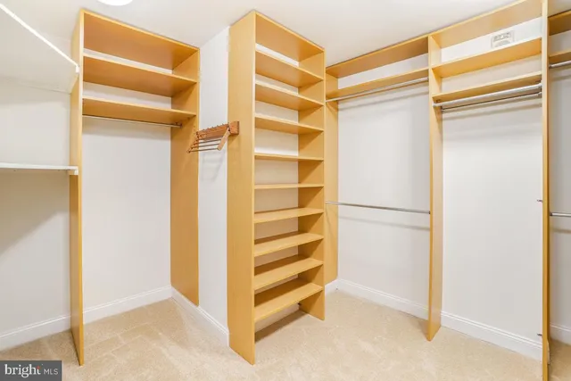 a view of walk in closet with empty racks