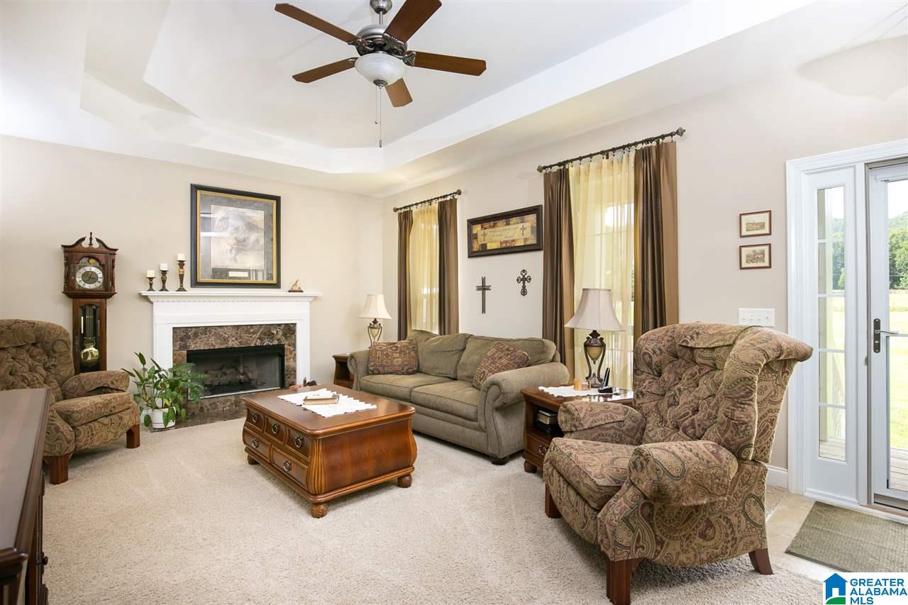 1665 Canoe Creek Road Springville, AL 35146 - Photo 4 of 24