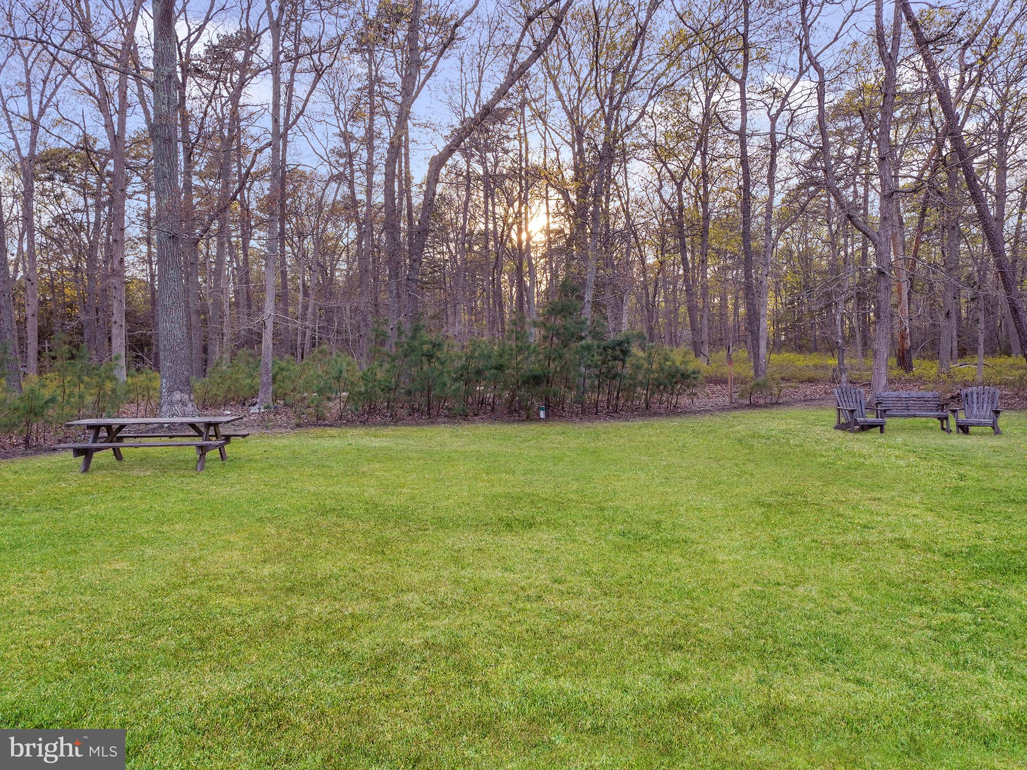 33 North New York Road Galloway Township, NJ 08205 - Photo 41 of 47 a view of a backyard with large trees