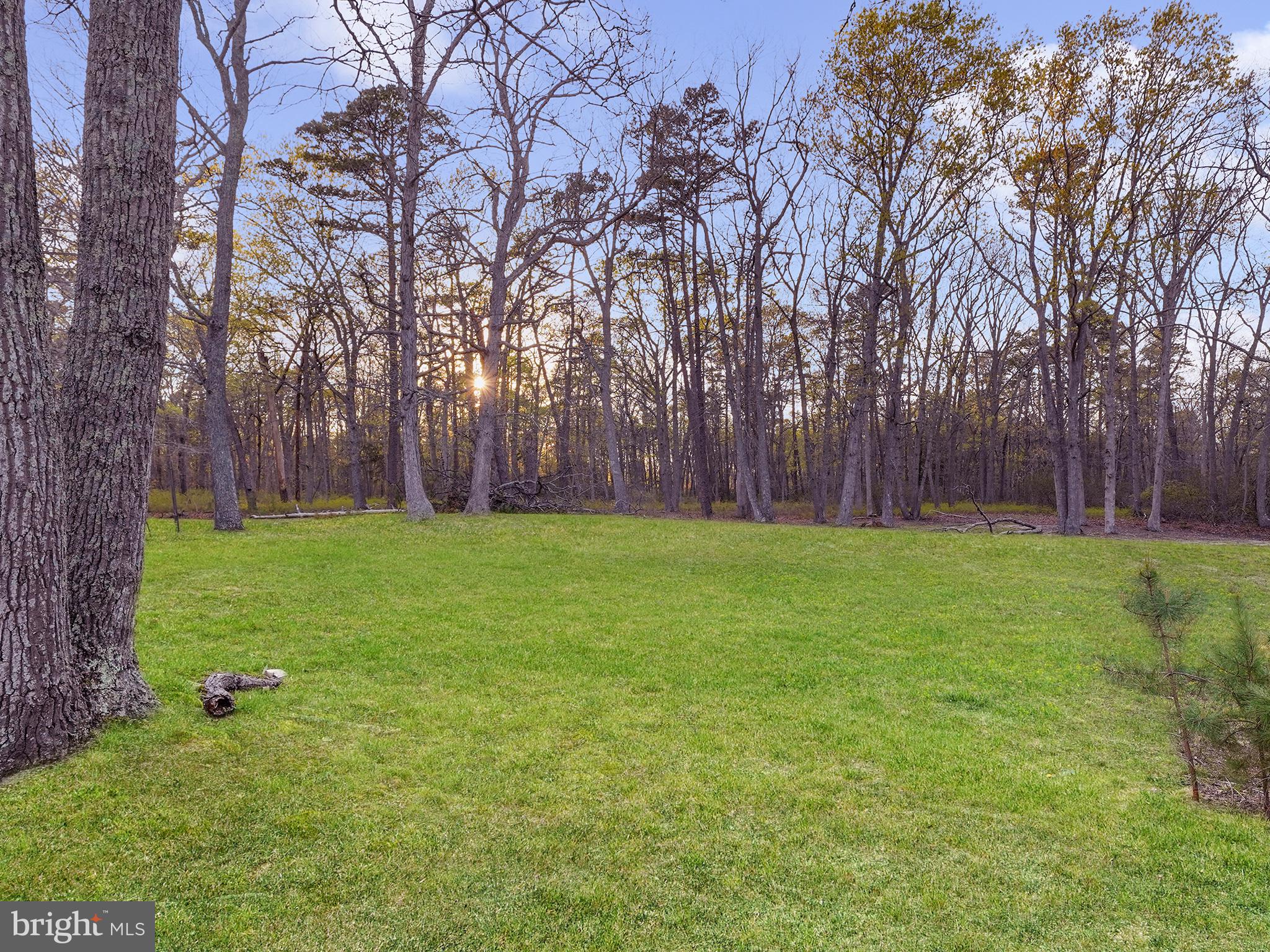 33 North New York Road Galloway Township, NJ 08205 - Photo 42 of 47 a backyard of a house with lots of green space