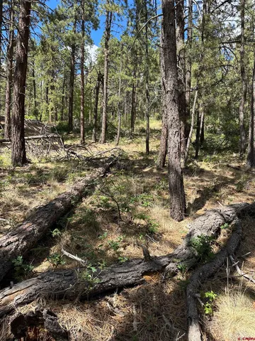 a view of outdoor space with trees