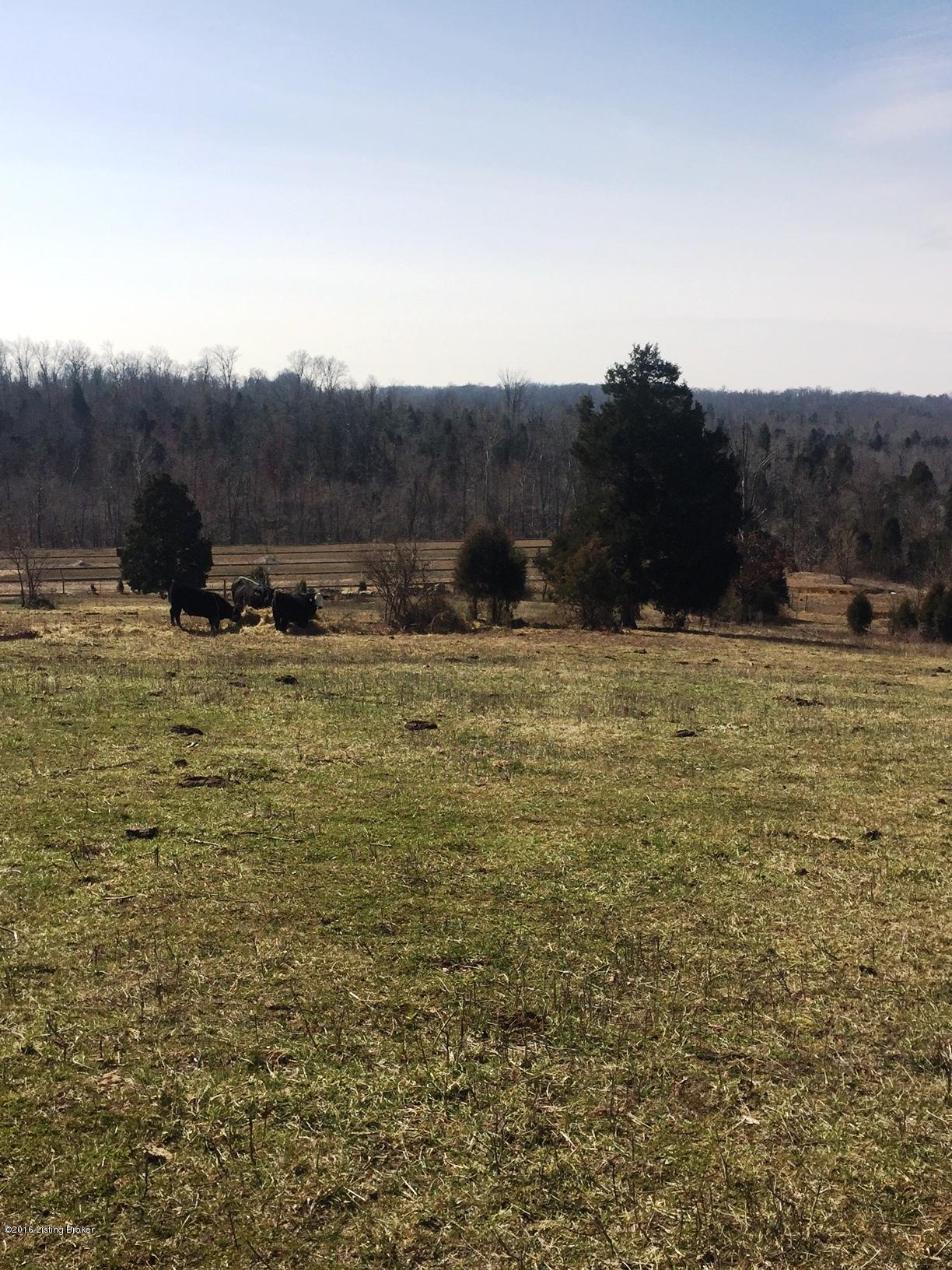 265 Rhodelia Road Payneville, KY 40157 - Photo 22 of 30 IMG_0693
