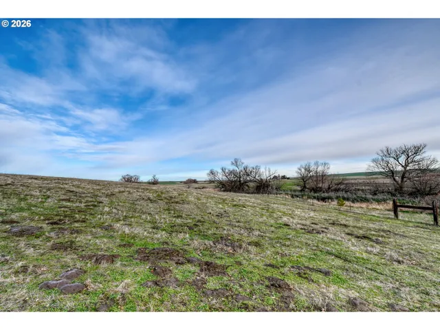 a view of outdoor space and a yard