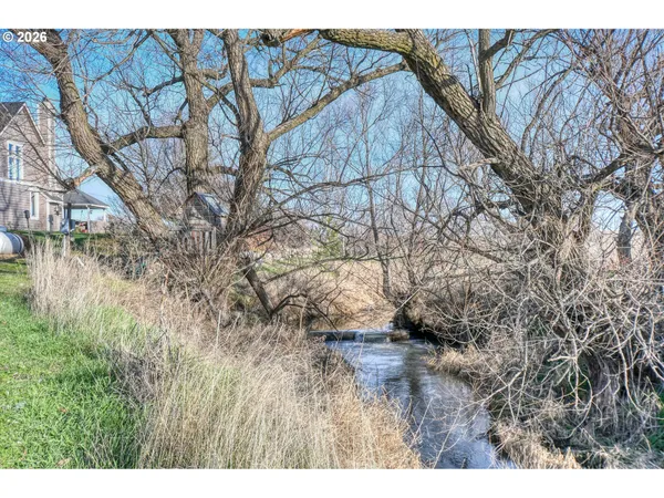 a view of large trees