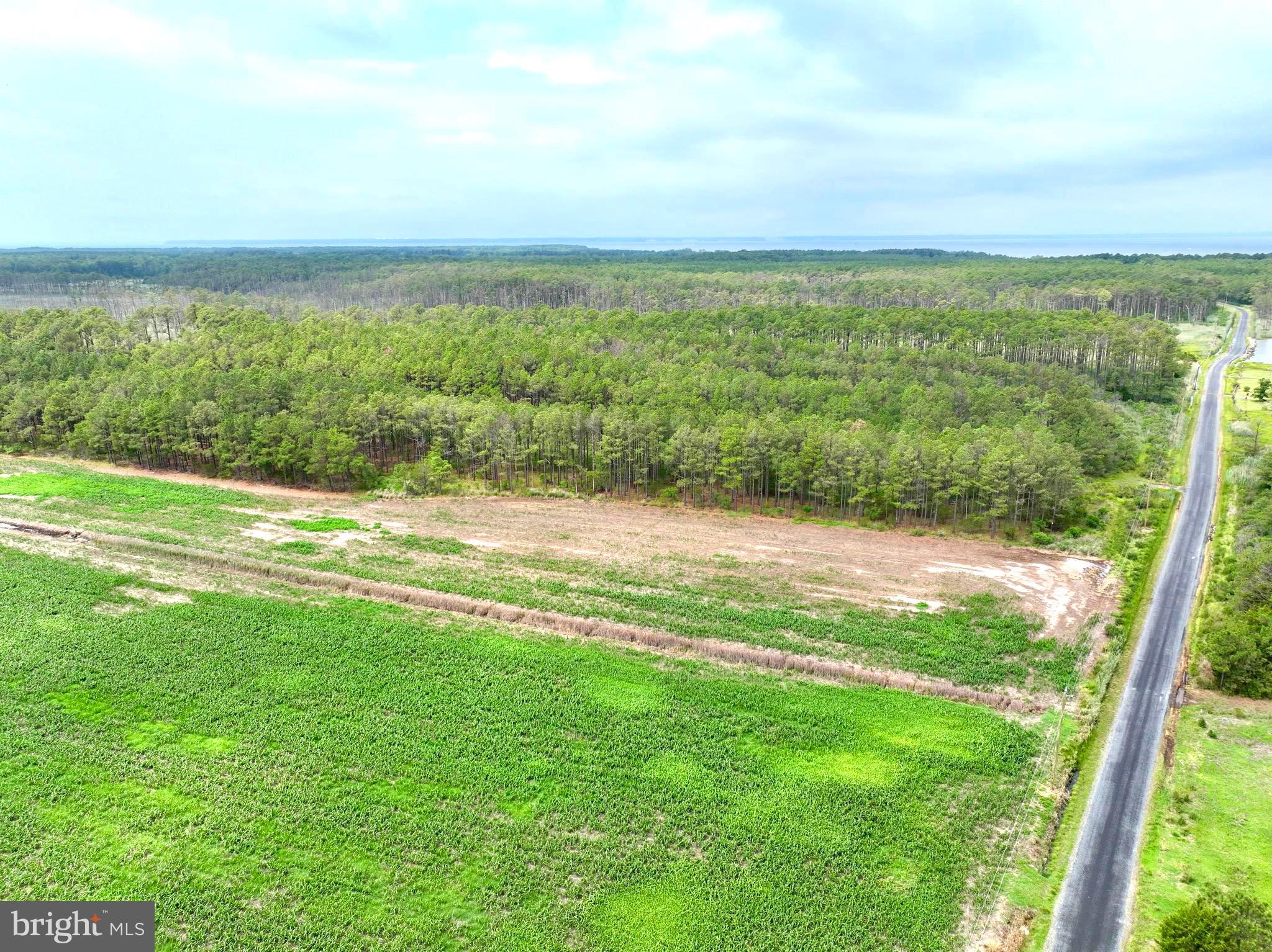 0 Hooper Neck Road Madison, MD 21648 - Photo 12 of 129