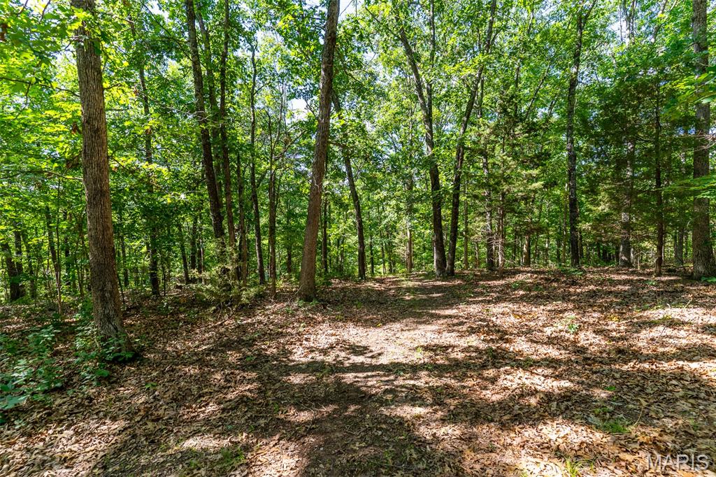 10450 Ok Road Bonne Terre, MO 63628 - Photo 77 of 93