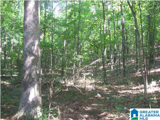 Caldwell Mill Road, Unit 6 Birmingham, AL 35242 - Photo 4 of 6