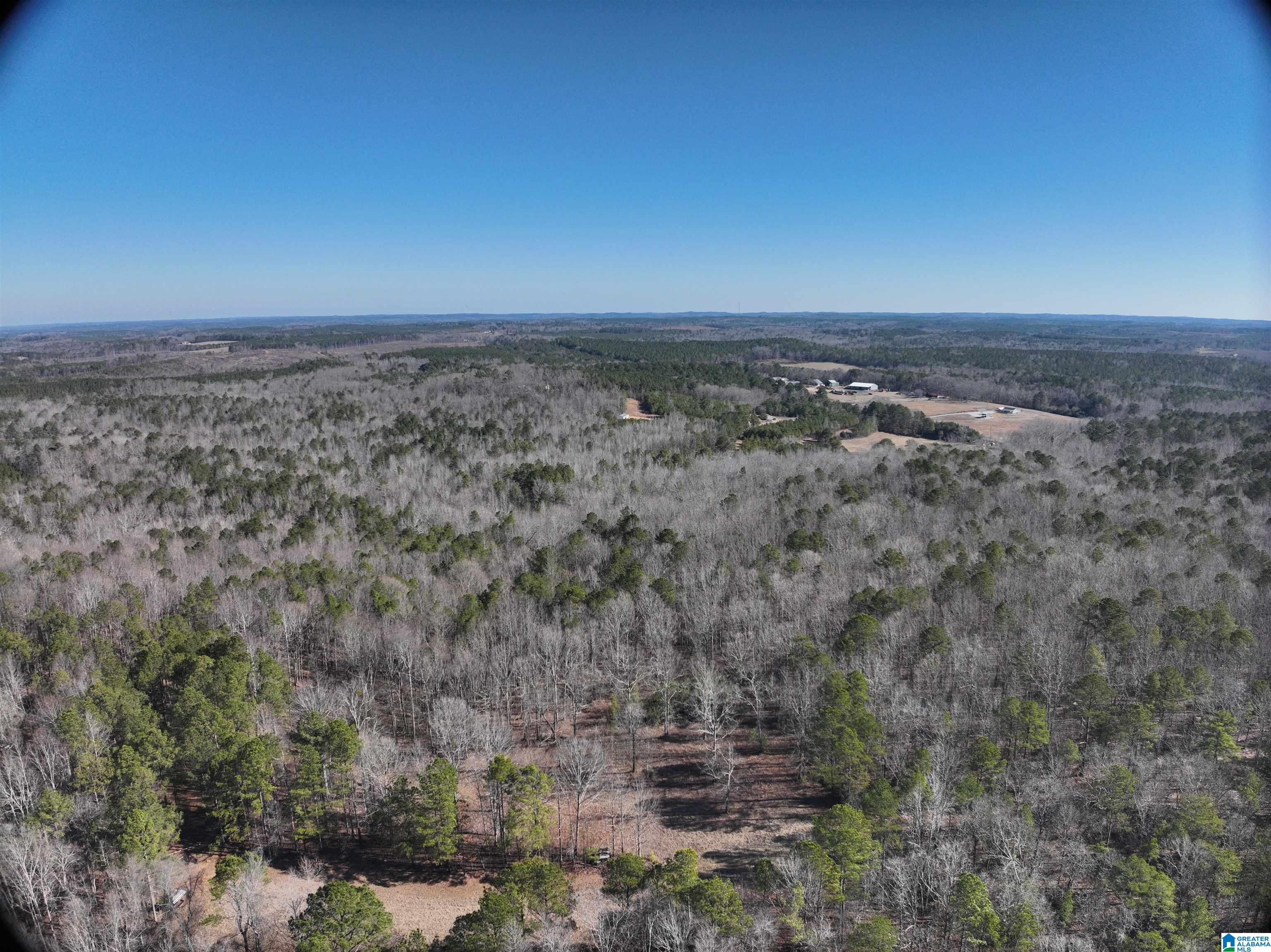 6171 Highway 102, Unit 1 Fayette, AL 35555 - Photo 23 of 68