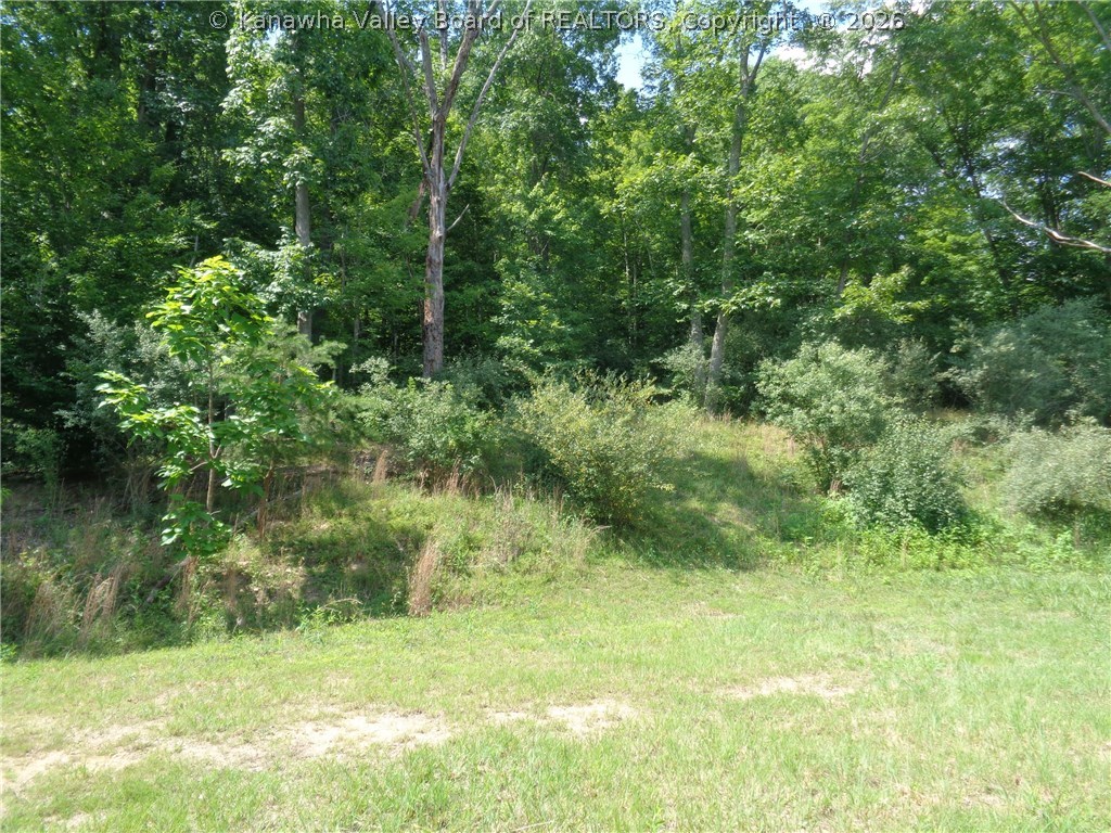 0 Beechie Fork Road Alum Creek, WV 25003 - Photo 12 of 15 Gallery Image 12