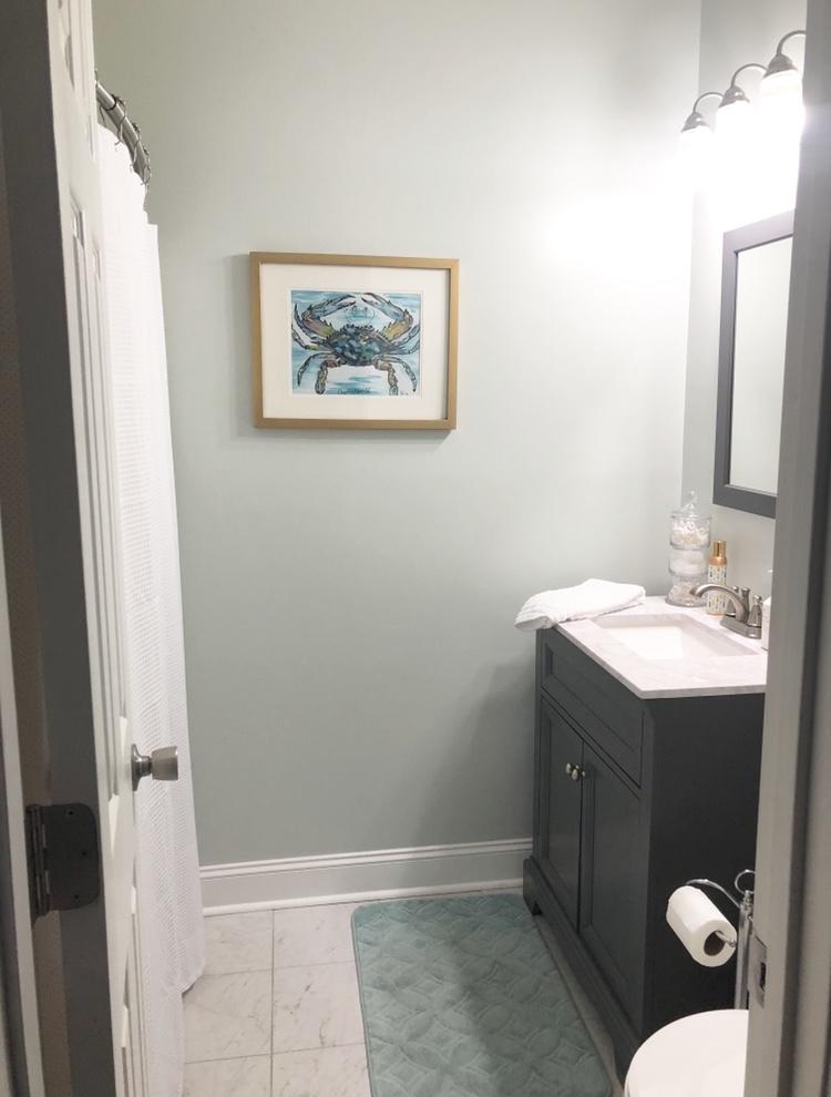 1494 Oak Landing Road Mount Pleasant, SC 29464 - Photo 16 of 65 guestbath