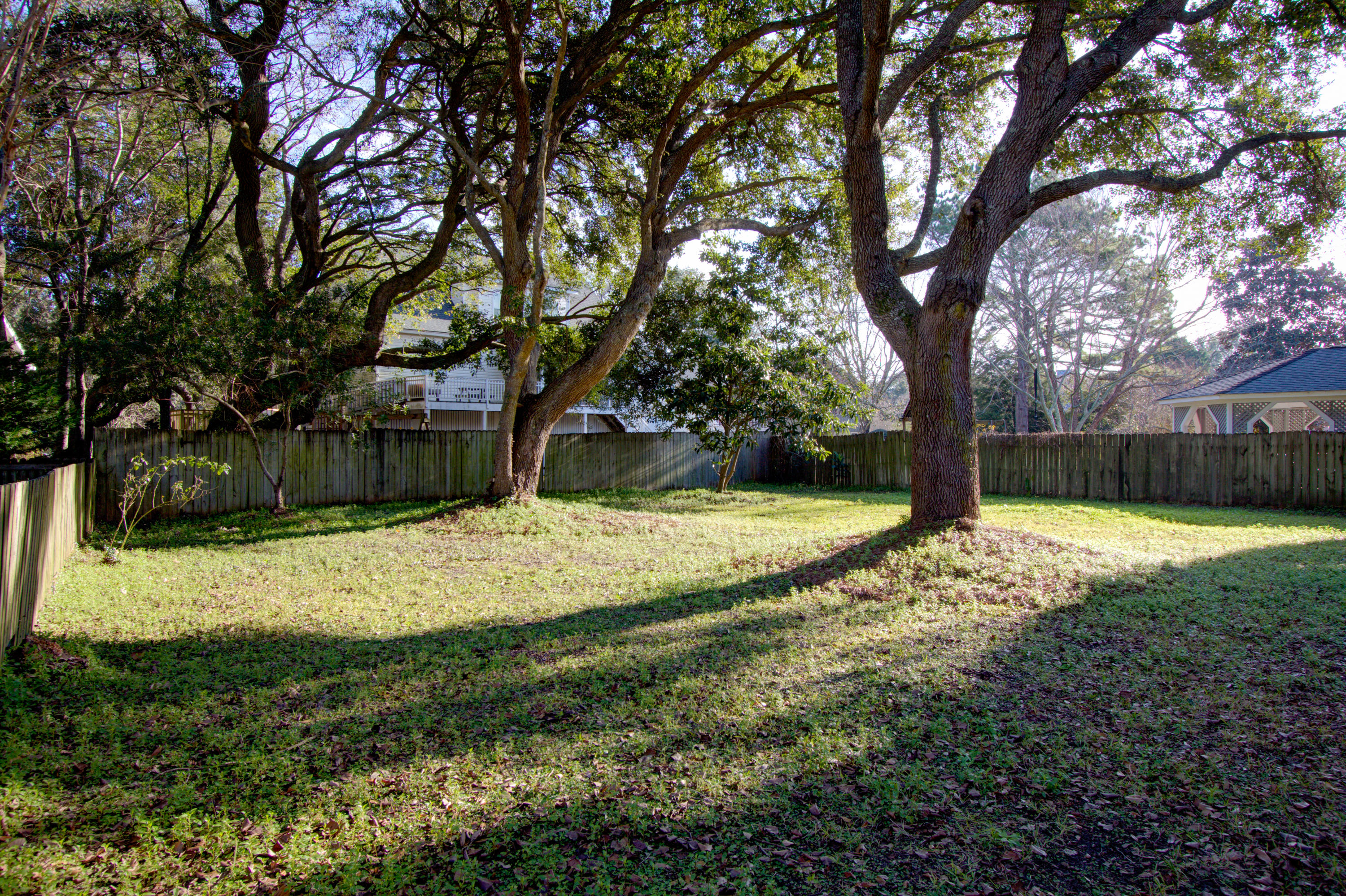 1494 Oak Landing Road Mount Pleasant, SC 29464 - Photo 46 of 65 Back Yard