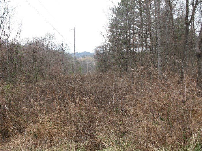 Tbd Tbd Quaker Road Galax, VA 24333 - Photo 8 of 10 Gallery Image 8