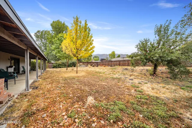 a view of tall trees