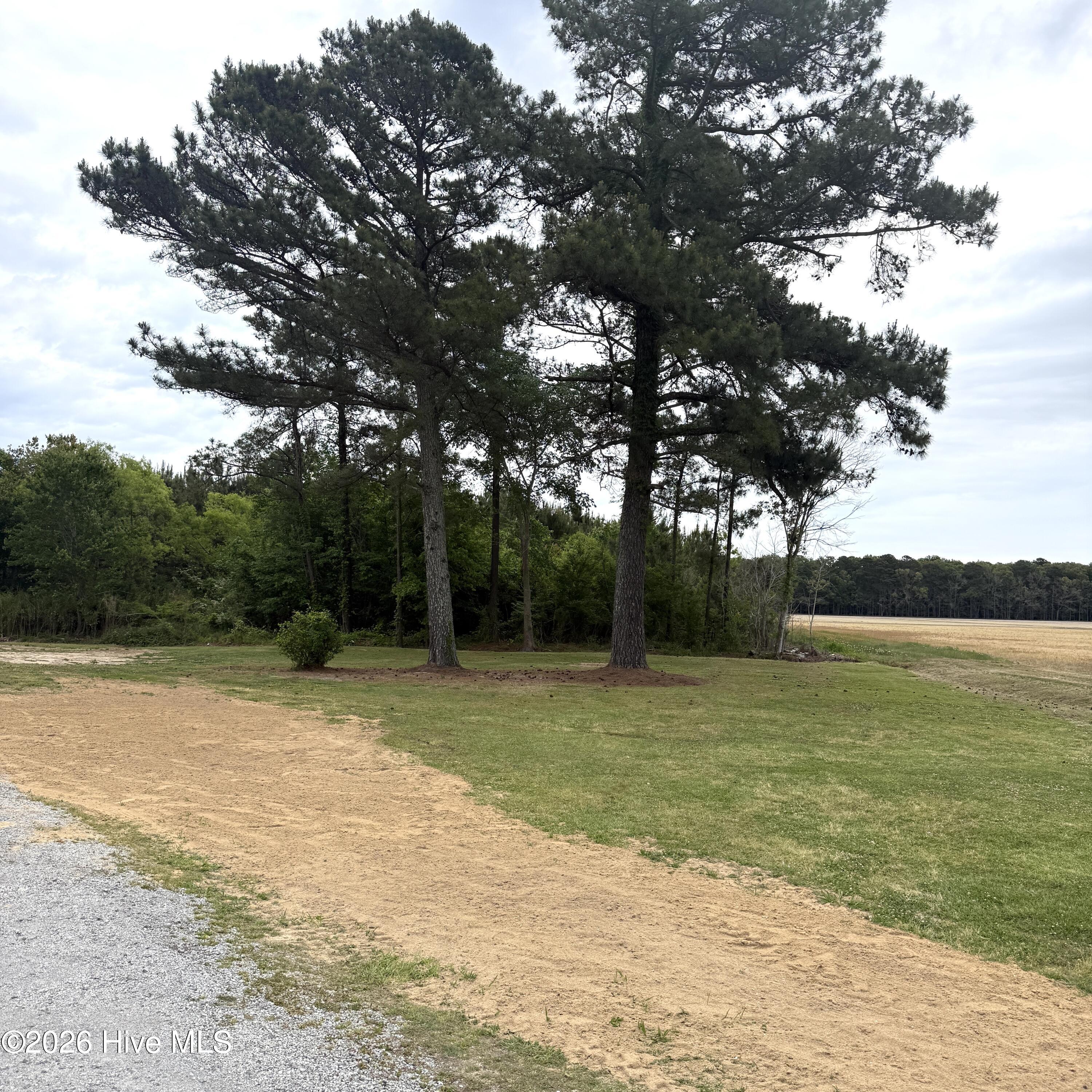300 Whitemon Lane Edenton, NC 27932 - Photo 30 of 32 IMG_5363