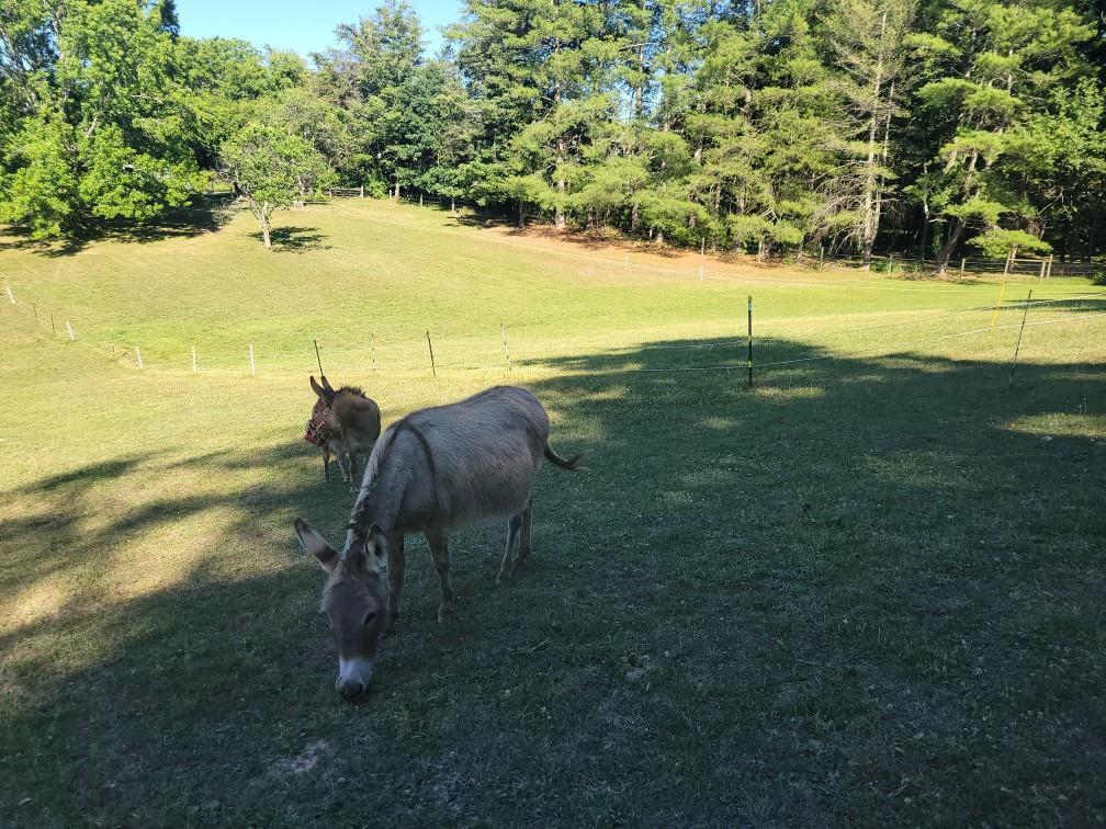 815 Brunswick Forge Road Troutville, VA 24175 - Photo 70 of 70 Resized_20260624_171447