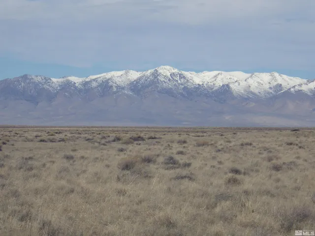 a view of a backyard with a mountain
