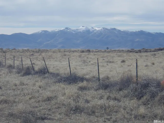 a view of a dry yard