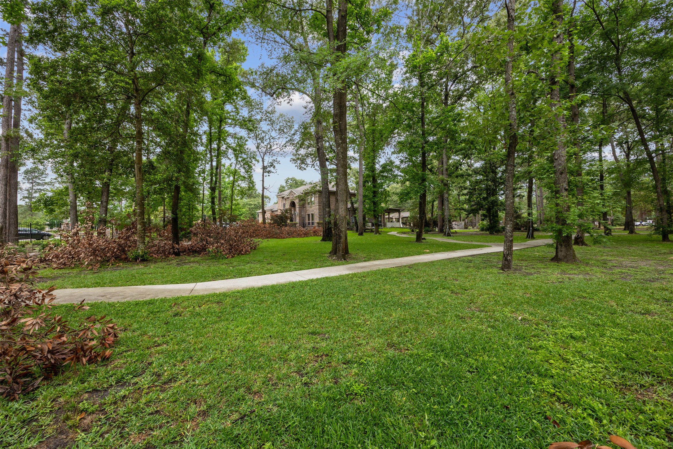 4107 Stratus Court Spring, TX 77386 - Photo 11 of 16 a view of a park with large trees