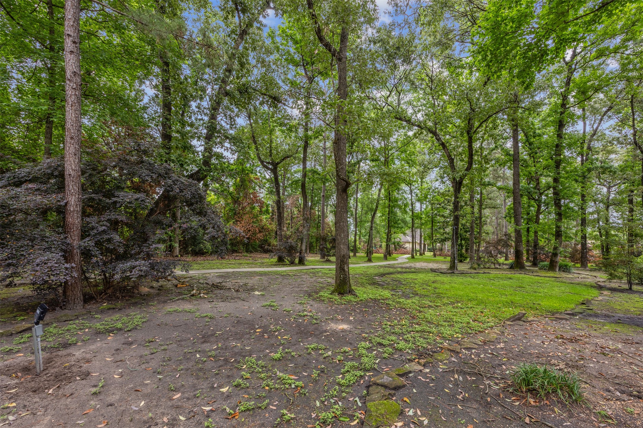 4107 Stratus Court Spring, TX 77386 - Photo 5 of 16 a view of a trees in a park