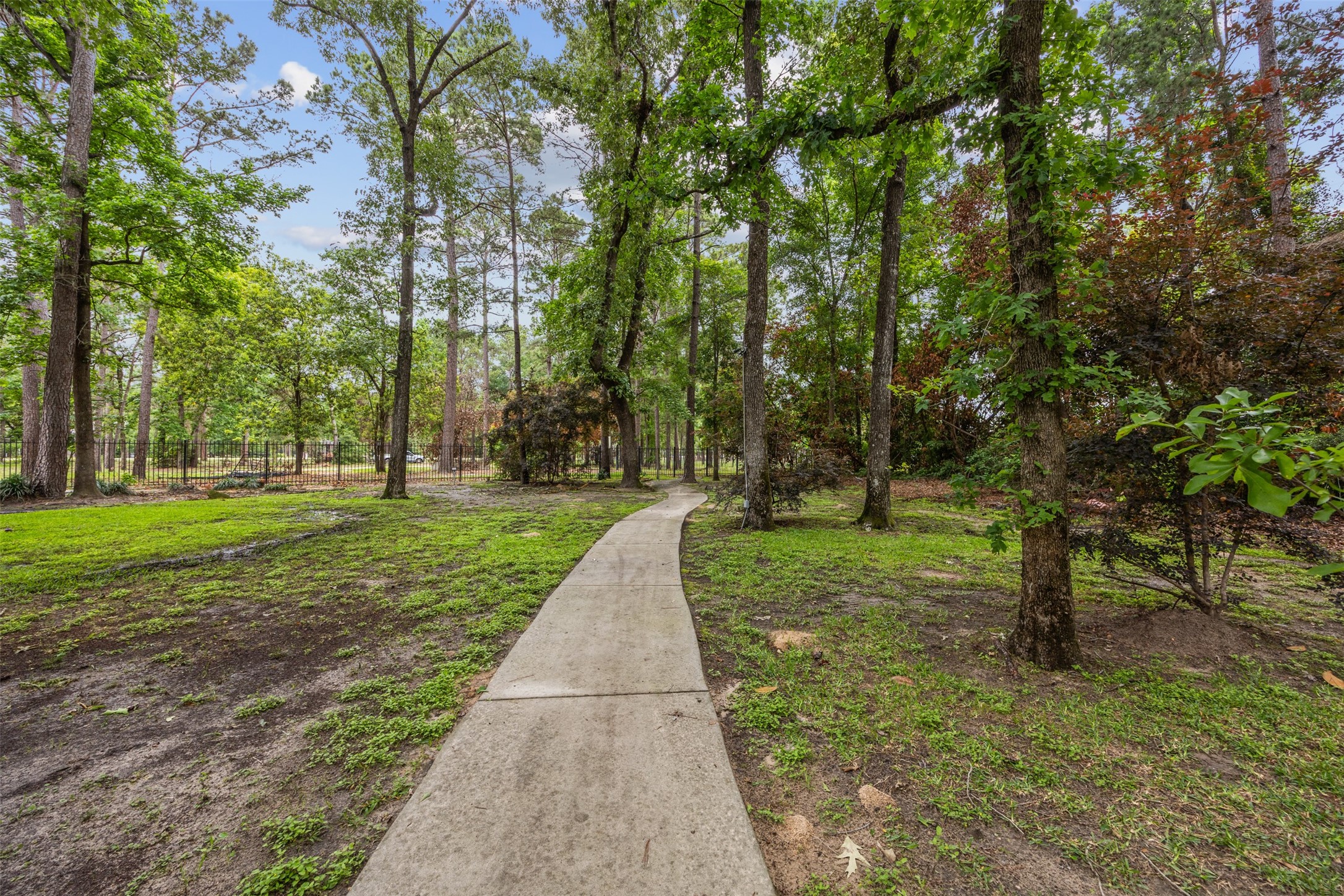 4107 Stratus Court Spring, TX 77386 - Photo 10 of 16 a park view with large trees