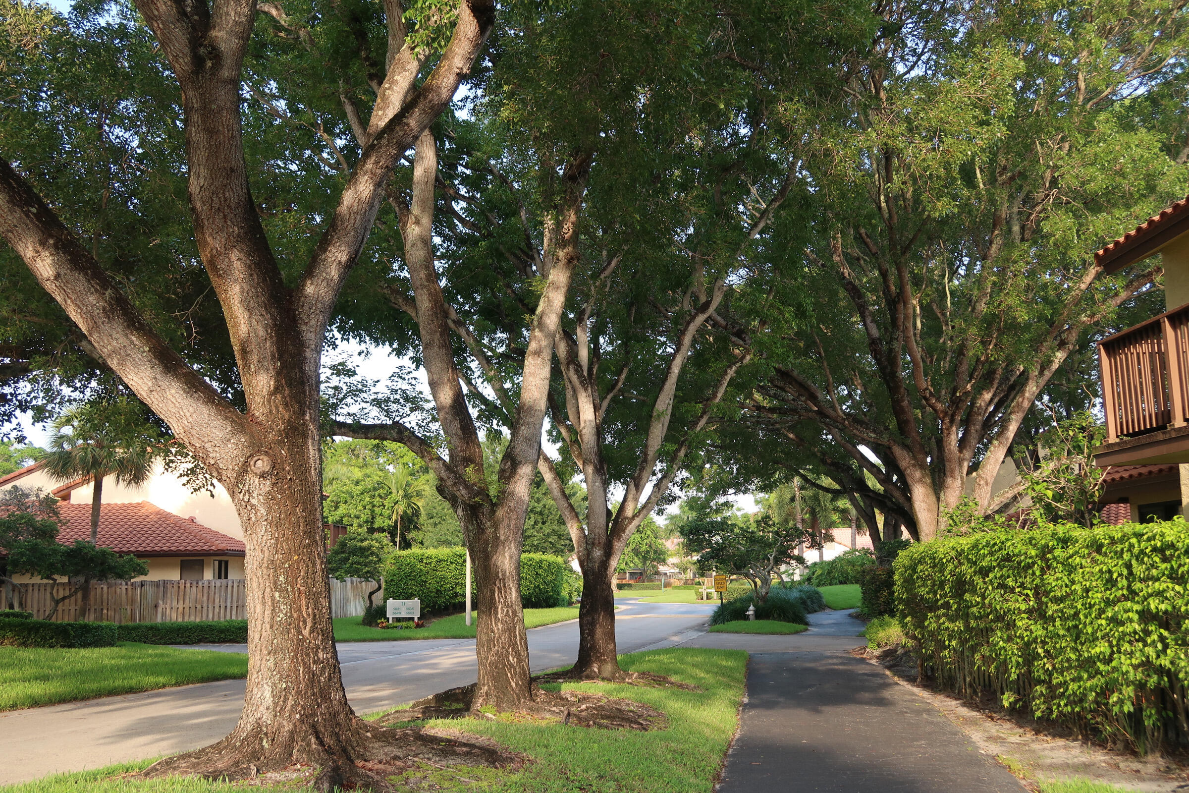 5845 Fox Hollow Drive, Unit A Boca Raton, FL 33486 - Photo 42 of 50 a tree in the garden of a building
