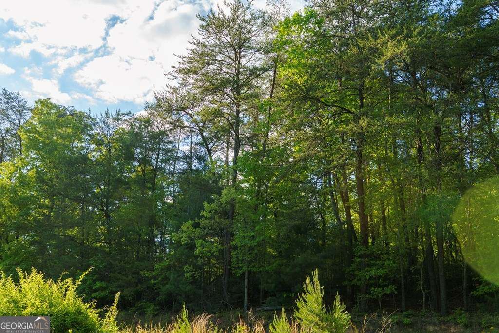 1 West Gum Log Road Warne, NC 28909 - Photo 26 of 26
