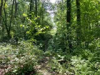 3501 Beckwith Lane Crete, IL 60417 - Photo 12 of 23 a view of a lush green forest
