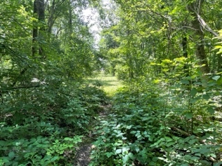 3501 Beckwith Lane Crete, IL 60417 - Photo 13 of 23 a view of a lush green forest