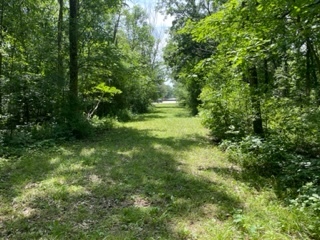 3501 Beckwith Lane Crete, IL 60417 - Photo 14 of 23 a view of yard