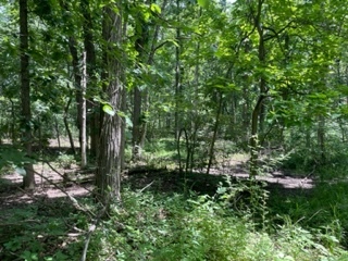 3501 Beckwith Lane Crete, IL 60417 - Photo 21 of 23 a view of outdoor space and green space