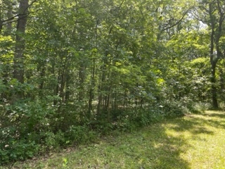 3501 Beckwith Lane Crete, IL 60417 - Photo 3 of 23 a view of a lush green forest