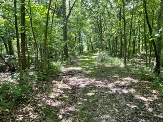 3501 Beckwith Lane Crete, IL 60417 - Photo 7 of 23 a big yard with lots of green space and trees