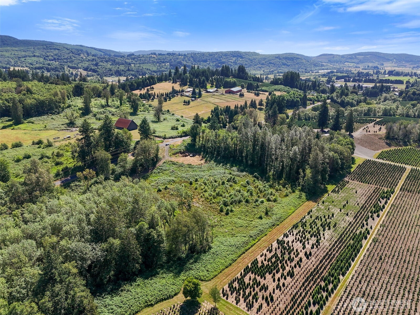 233 Young Road Mossyrock, WA 98564 - Photo 3 of 12