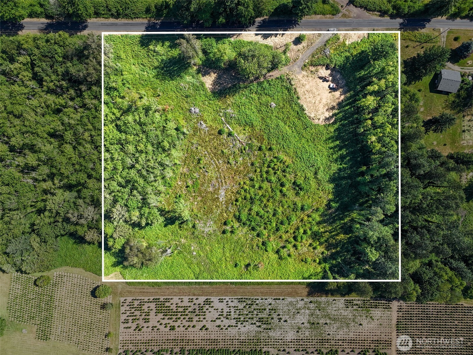 233 Young Road Mossyrock, WA 98564 - Photo 6 of 12