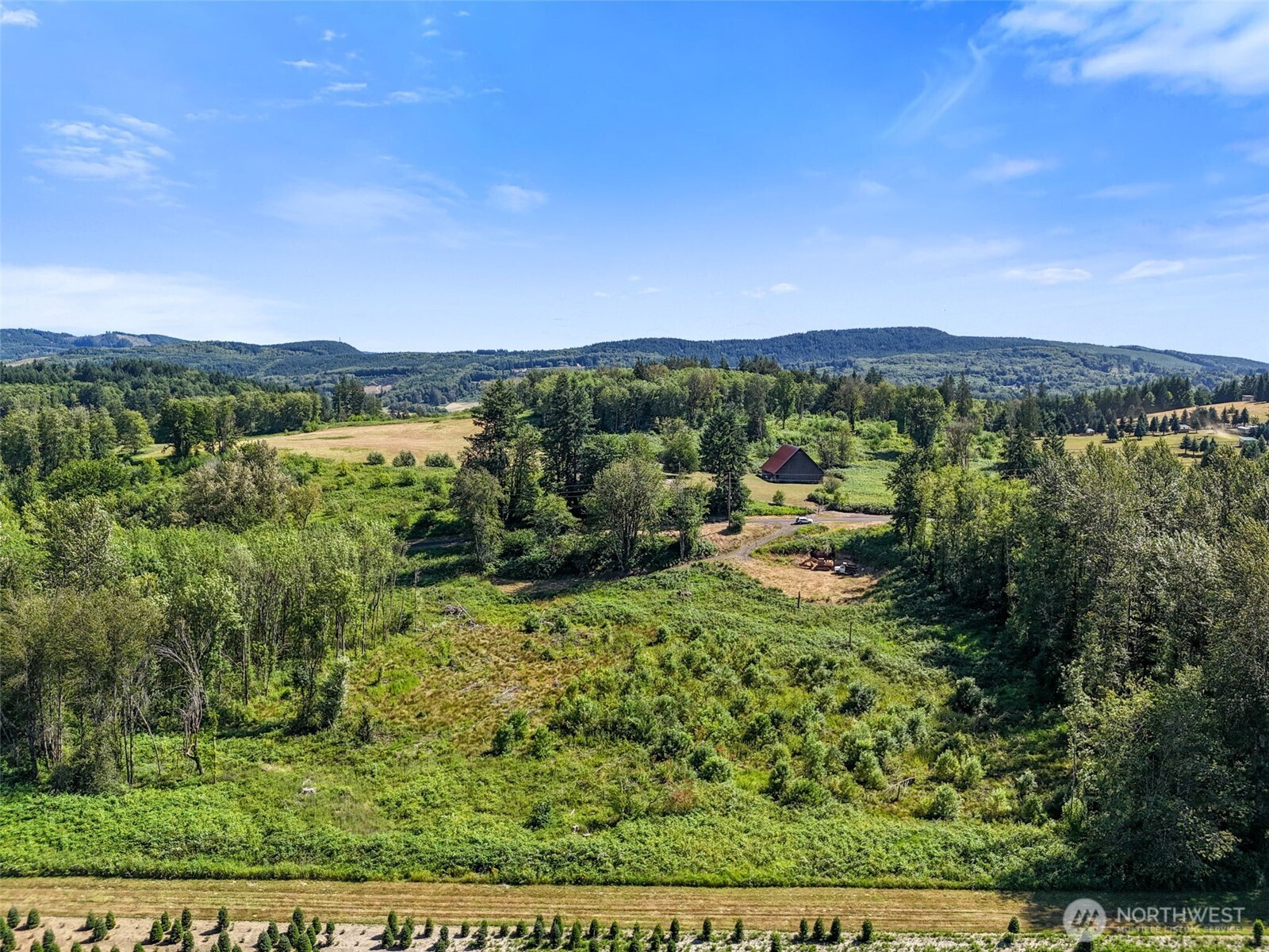 233 Young Road Mossyrock, WA 98564 - Photo 7 of 12