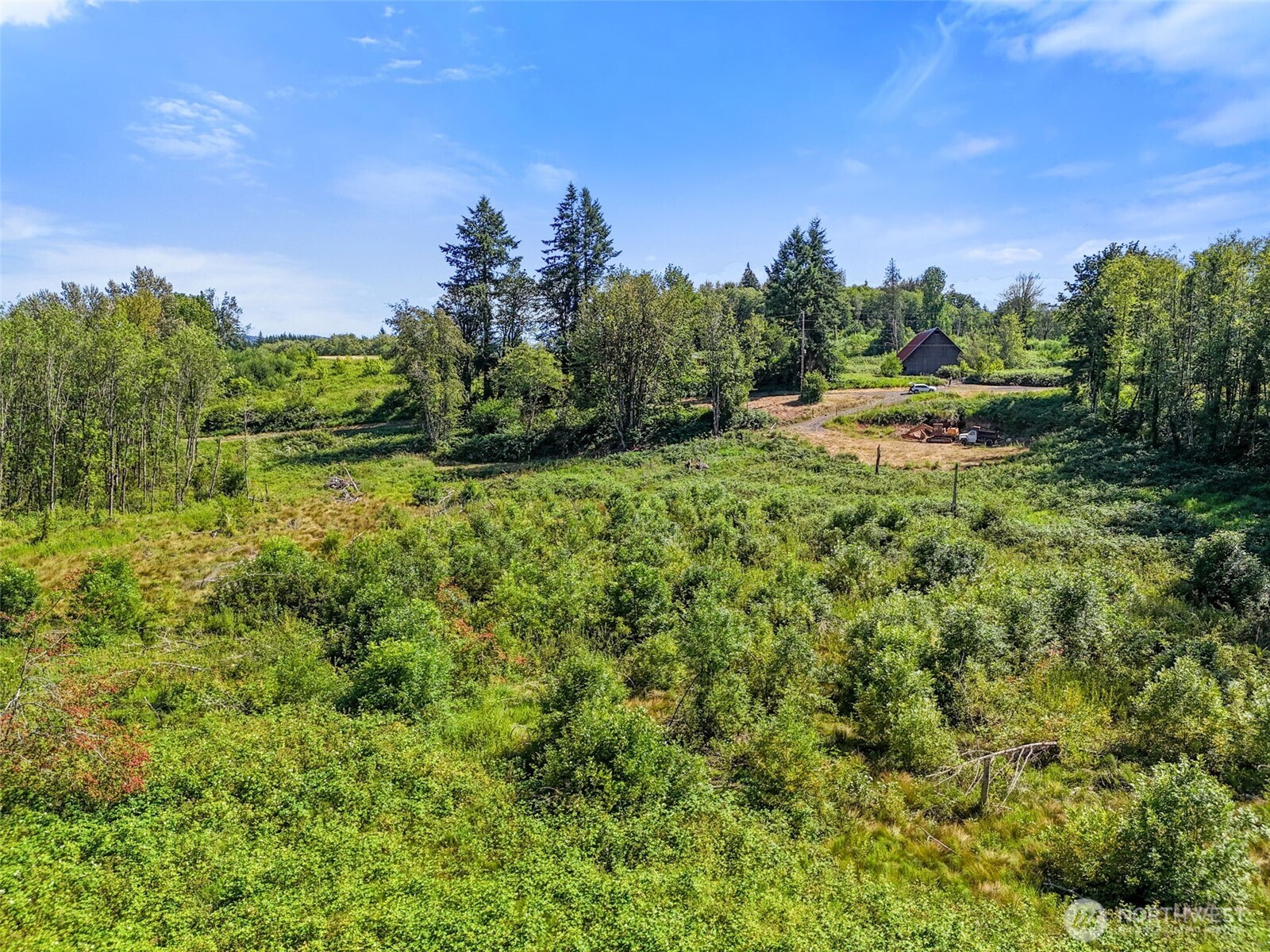 233 Young Road Mossyrock, WA 98564 - Photo 9 of 12