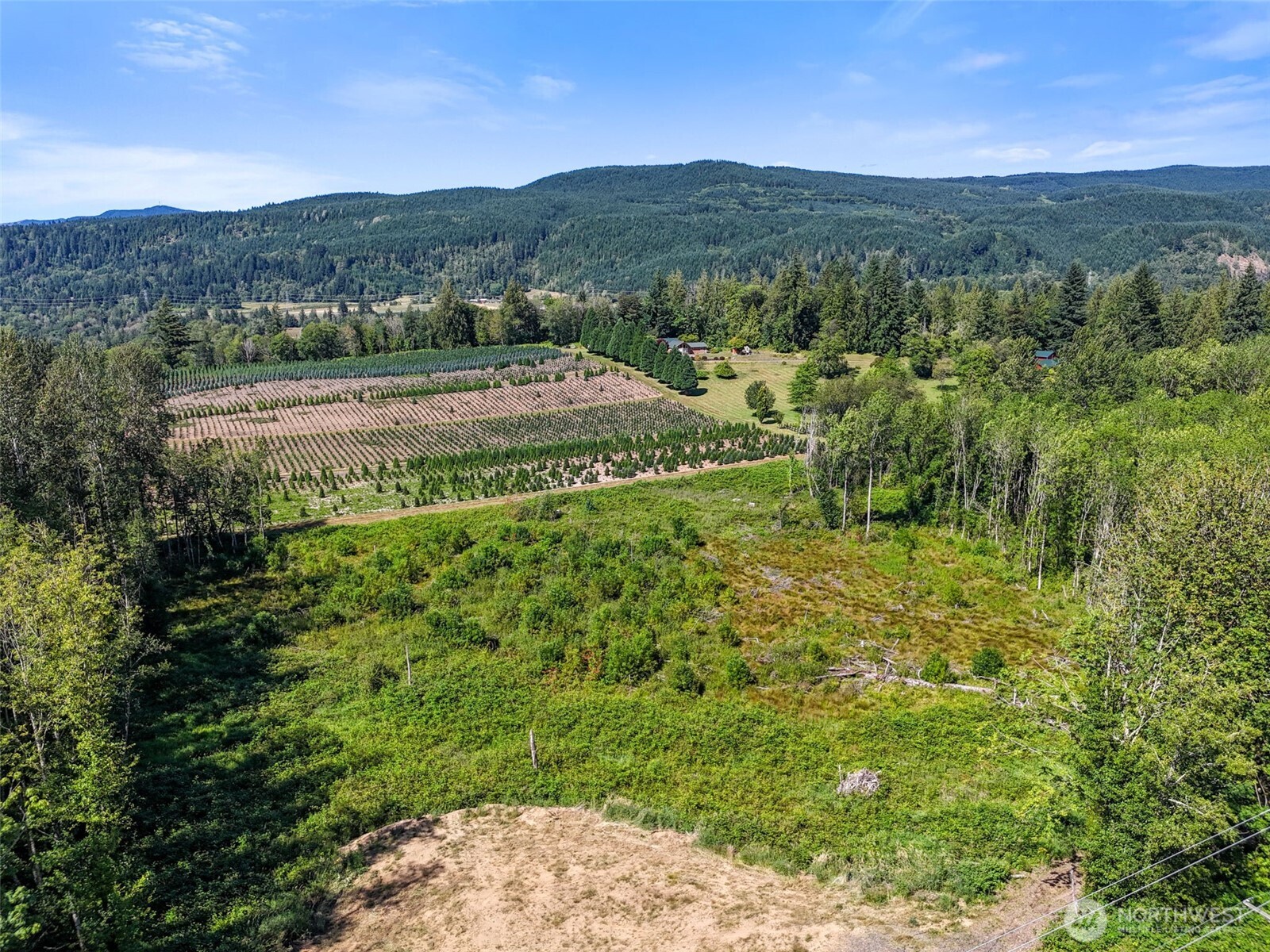 233 Young Road Mossyrock, WA 98564 - Photo 10 of 12