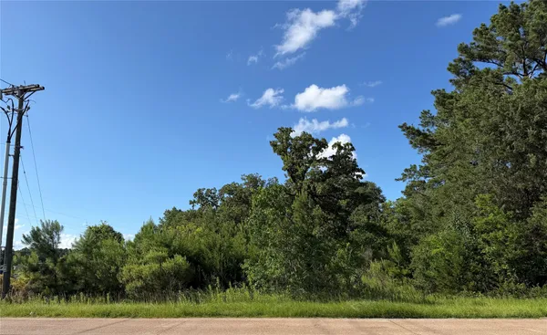 $20,000 | 908 South Hendrix Avenue, Diboll, TX 75941