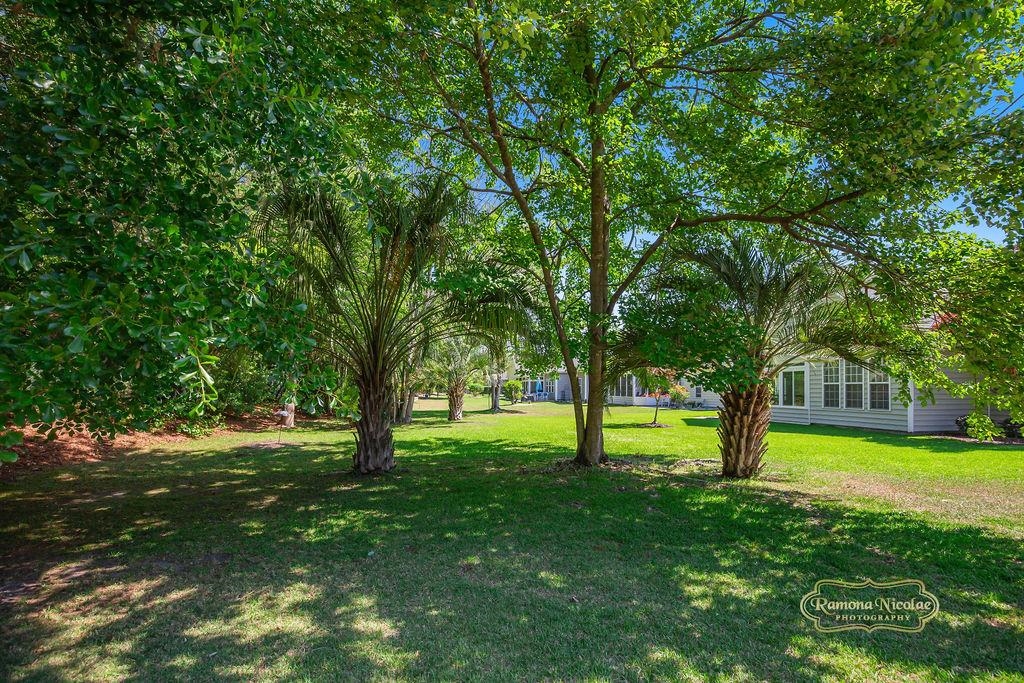 1028 Rudder Court Conway, SC 29526 - Photo 42 of 49