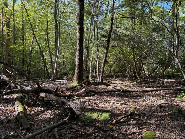 a view of livingroom with furniture