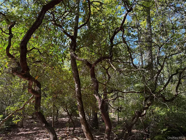 a view of house with a yard