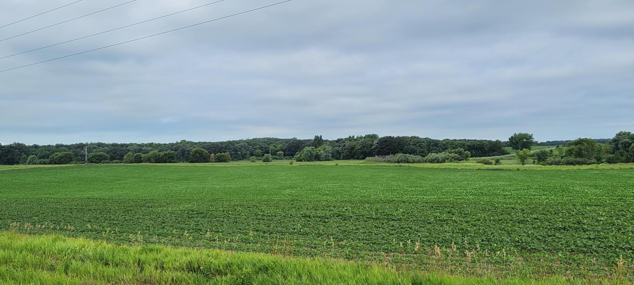 35755 200th Street Battle Lake, MN 56515 - Photo 11 of 55