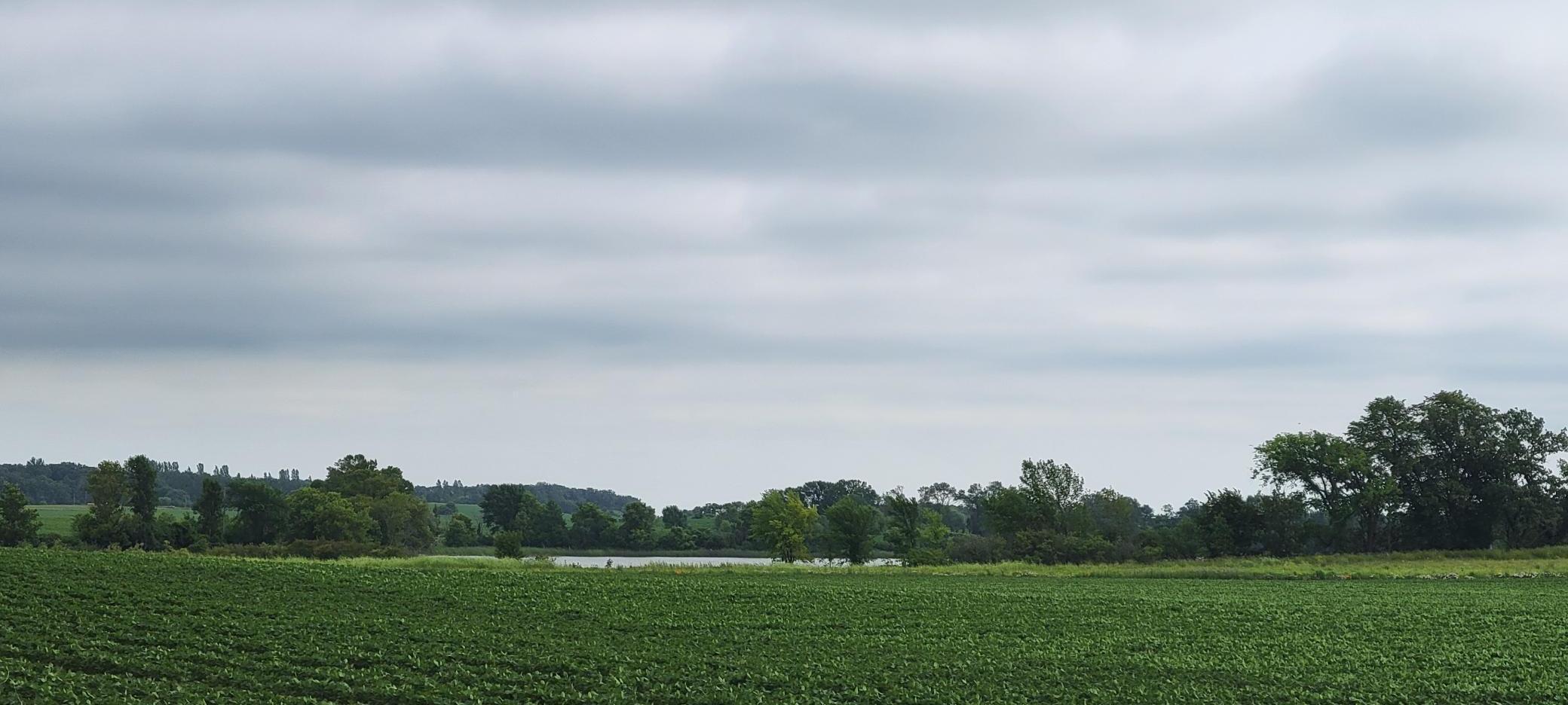 35755 200th Street Battle Lake, MN 56515 - Photo 13 of 55