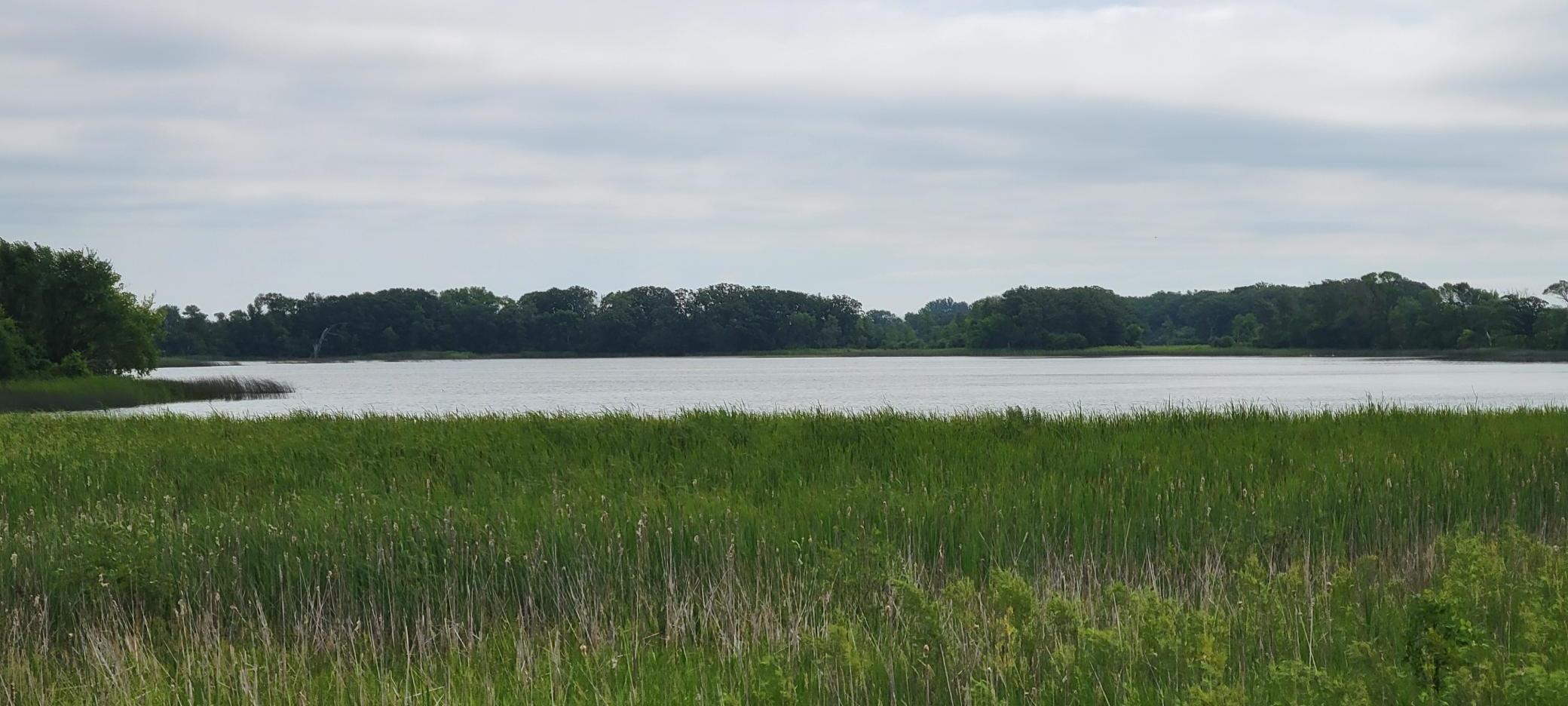 35755 200th Street Battle Lake, MN 56515 - Photo 17 of 55