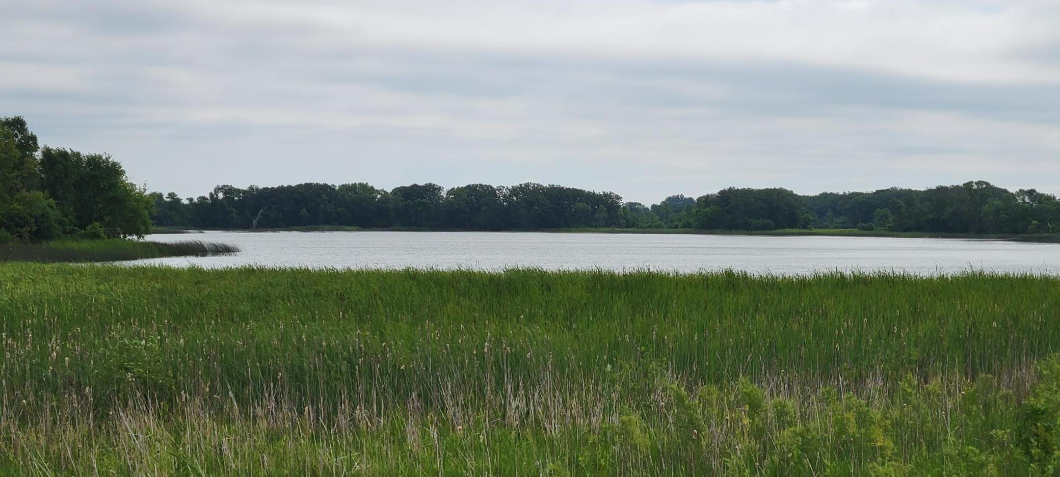 35755 200th Street Battle Lake, MN 56515 - Photo 18 of 55