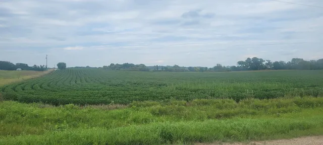 $1 | 35755 200th Street, Battle Lake, MN 56515