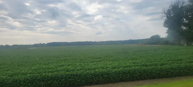 $1 | 35755 200th Street, Battle Lake, MN 56515