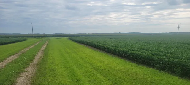 $1 | 35755 200th Street, Battle Lake, MN 56515