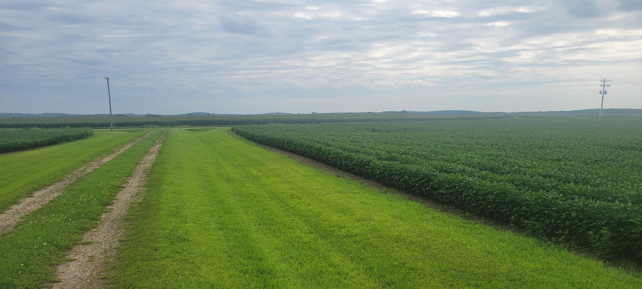 35755 200th Street Battle Lake, MN 56515 - Photo 21 of 55