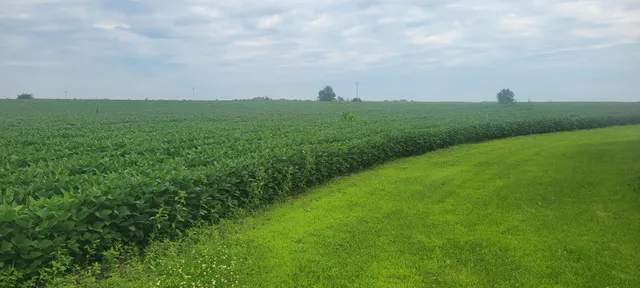 $1 | 35755 200th Street, Battle Lake, MN 56515